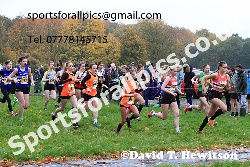 Womens under-17s 2024 Start Fitness NEHL, Lambton Park, near Chester le Street, County Durham.   Photo: David T. Hewitson/Sports for All Pics